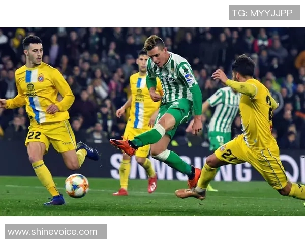 佛罗伦萨迎战史帕尔期待精彩对决分析两队近期状态与战术布局