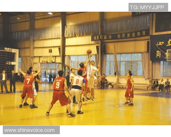 北京排球队在锦标赛中的意识表现分析与点评MBA