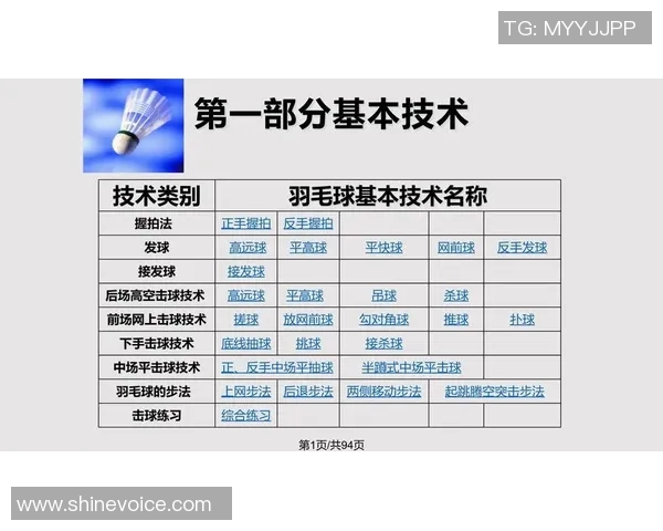 聚焦羽毛球运动的灵活性探讨：北京羽毛球队的训练与战术创新分析MBA