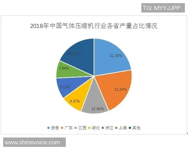 独家解析LNG市场竞争策略与战术对比深度剖析